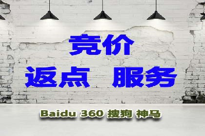 SEM竞价推广案例：电商行业成功案例解析